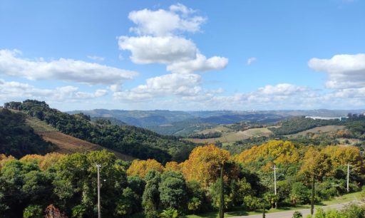 Sun, Flavors, and Serenity: A Retreat in the&nbsp;Vineyards